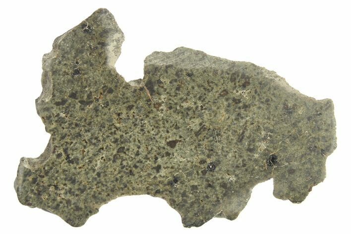 Martian Shergottite Meteorite ( g) Slice - Amgala #268614
